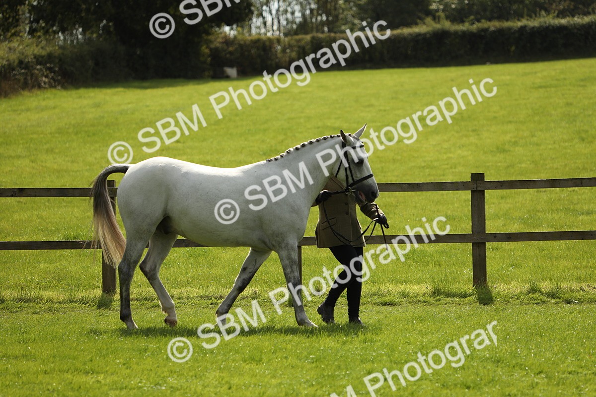 SBM_65569 - S48 - Show Pony & Show Hunter Pony In Hand