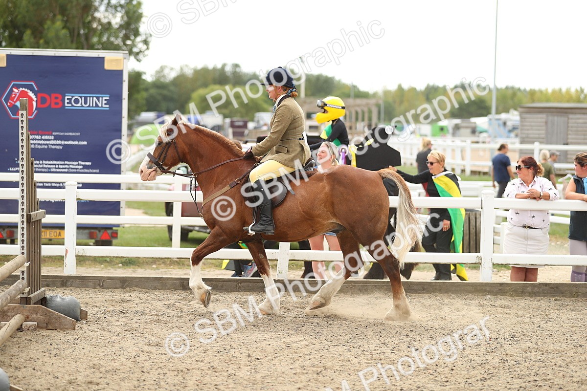 SBM_04813 - Class 46b Style & Performance 50cm (20+)