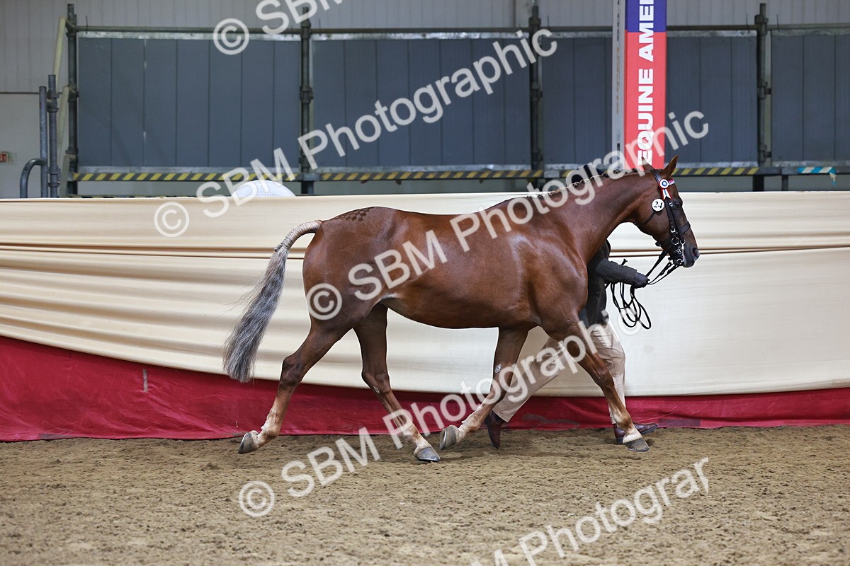 SBM_22273 - Class 902 - Supreme Final - IH Diamond