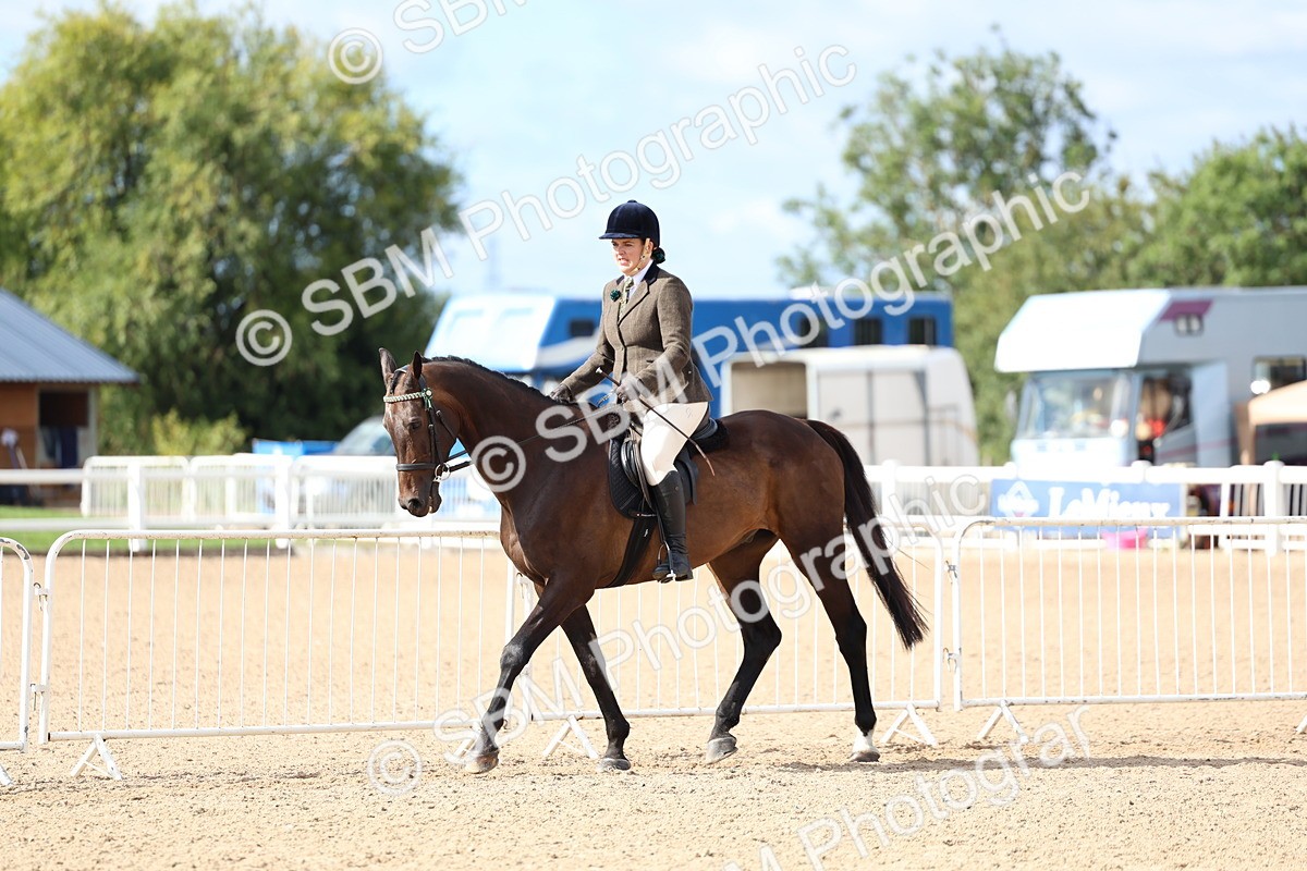 SBM_10767 - Class 305 - Ridden Foreign Breeds - Pure Bred
