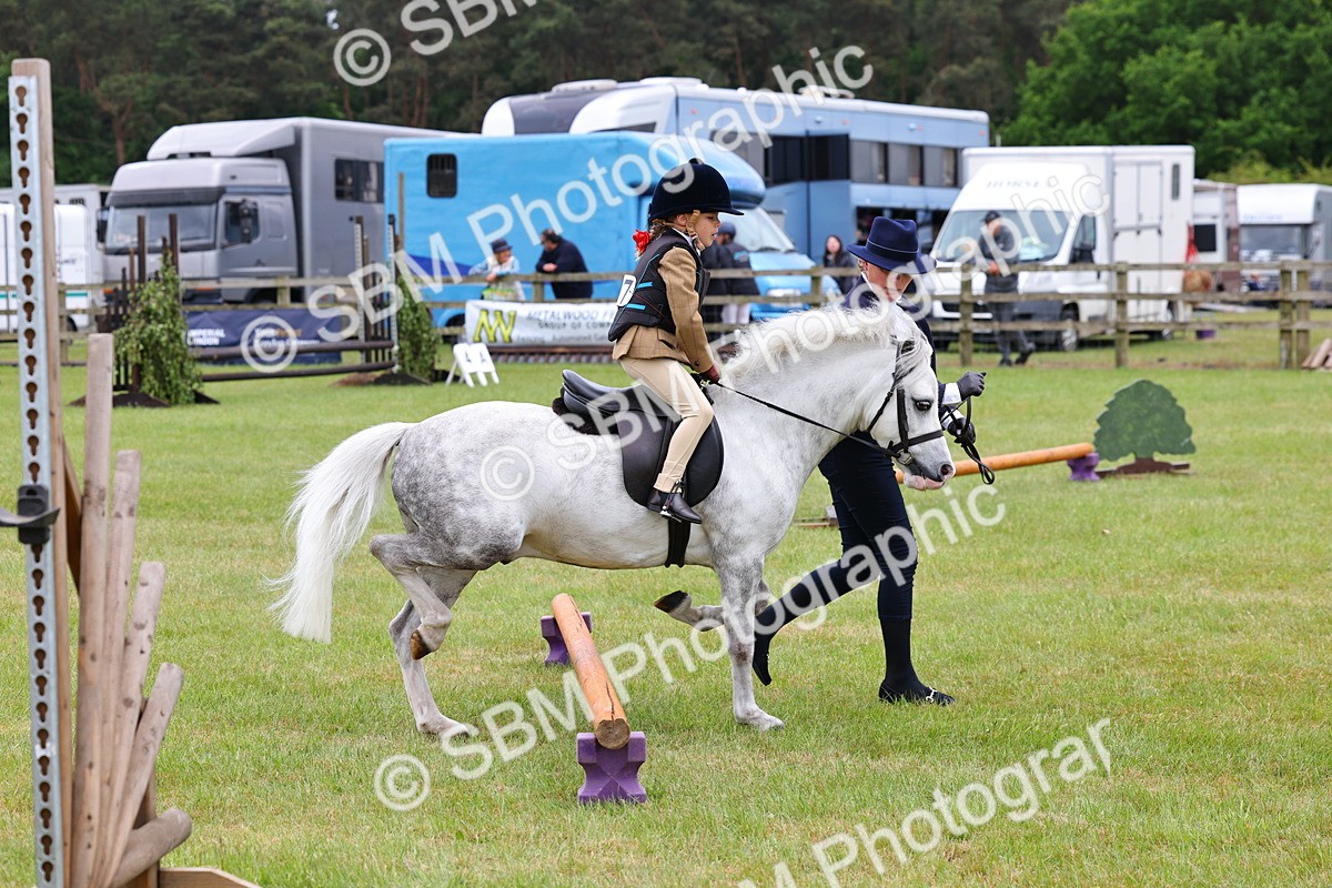 SBM_08138 - Class 42-43 - LIHS BSPS Heritage Working Sports Pony
