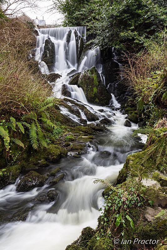 Upper Waterfall at Crawfordsburn Country Park - County Down