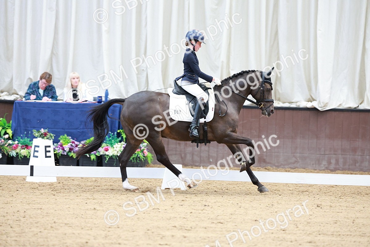 SBM_017114 - Class15 - FEI Pony