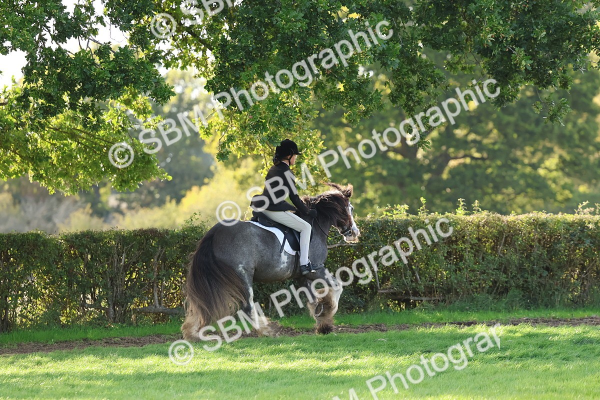 SBM_52484 - S13 - Pony Club Pony