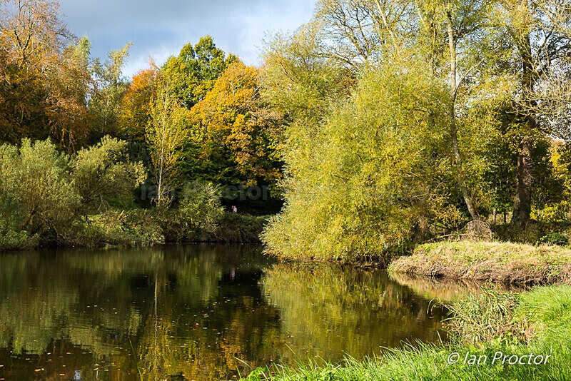 Autumn Colours at Minnowburn - Autumn