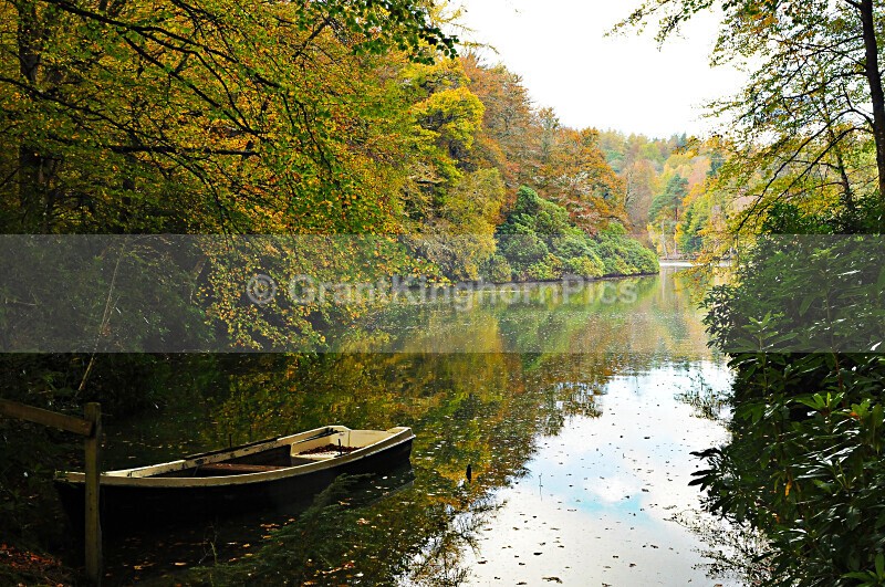 4 - Autumn around Selkirk