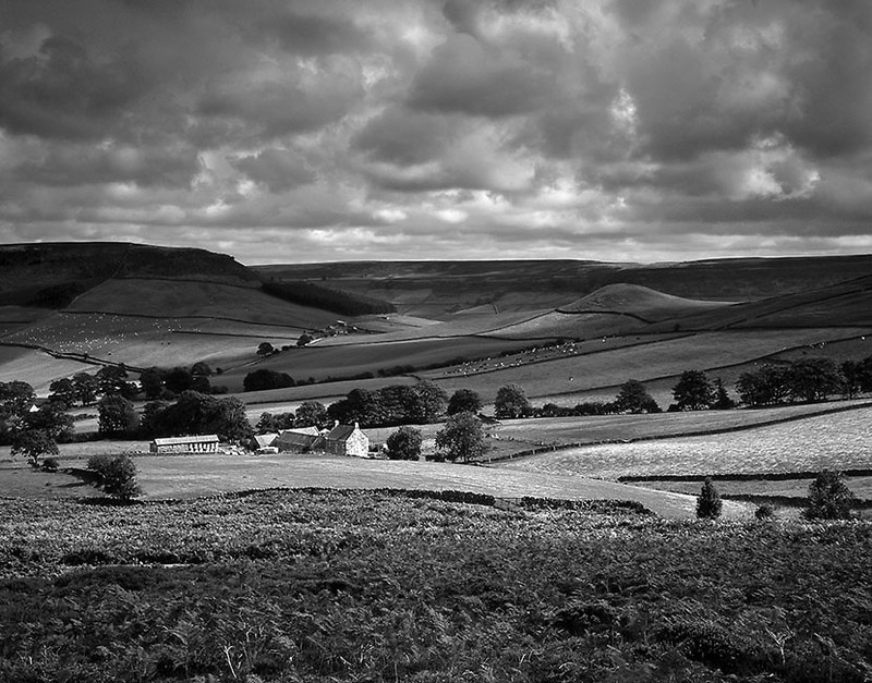 Denby Moor Yorkshire England - Monochrome