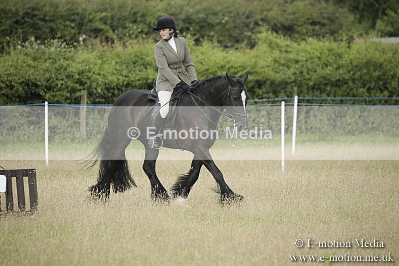 B230619-0166 - Bourne Valley Riding Club Summer Show 23/06/19
