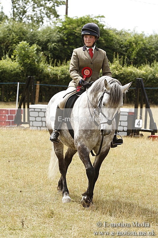 _BS_1006 - Working Hunter Championship BVRC Show 2018