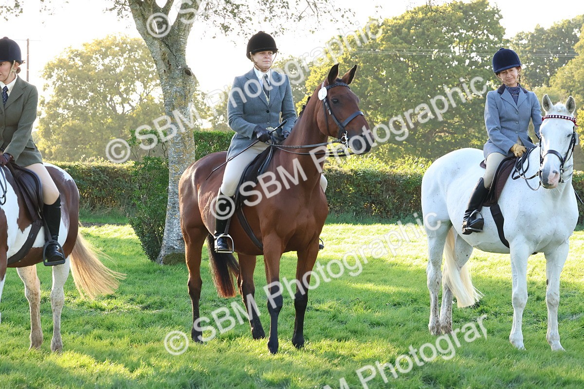 SBM_53082 - S29 - Mature Veteran Ridden