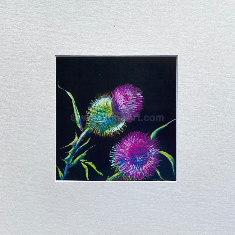 Thistle Brace - Nature