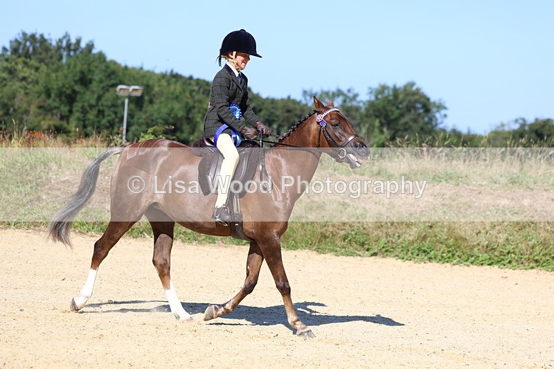 3E7A7979 - Class 14: Tack and Turnout