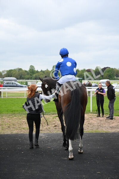 yr13052022r3-8 - Race 3 3.00pm Paddy Power 'I Love Steak' Stakes