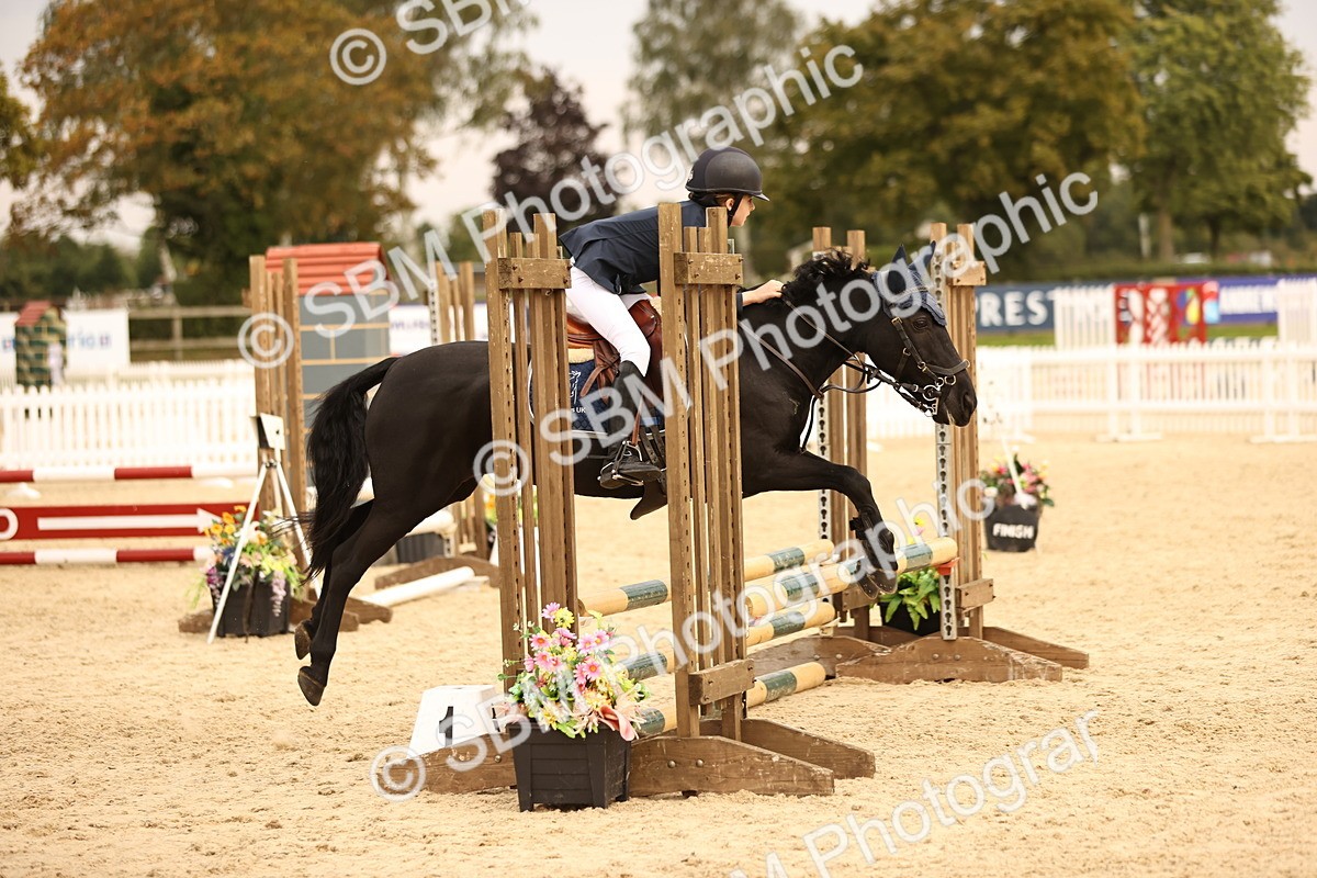 SBM_74448 - J14 - Junior Pony 65cm Championship