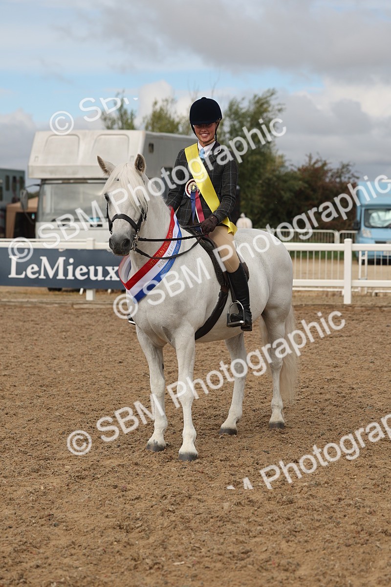 SBM_02014 - Class 14 - Ridden M&M Wildcard