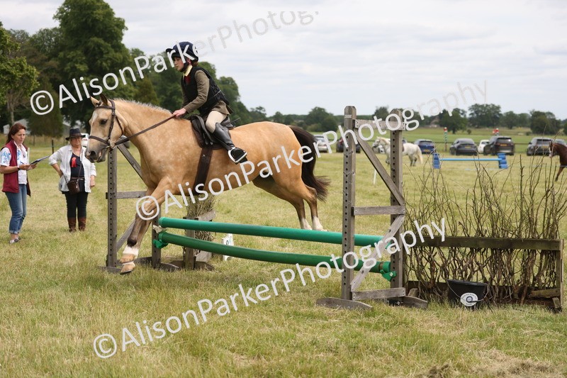 20260614-2970 - Class 22 - Open Working Hunter