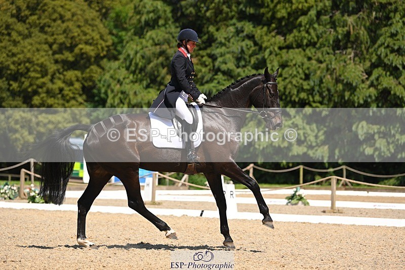 230526-141315-06939 - 482-BROOKFIELD_CAVALIER_CRUISE-Piggy_March-DR