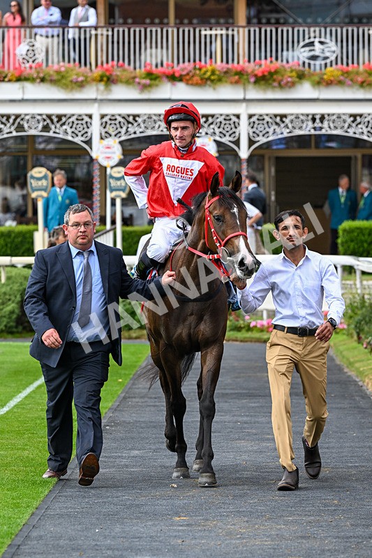 250726-Race 5-Rogue Jewel-1108 - Race 5 15.42pm Sky Bet Price Boosts EBF Fillies' Novice Stakes