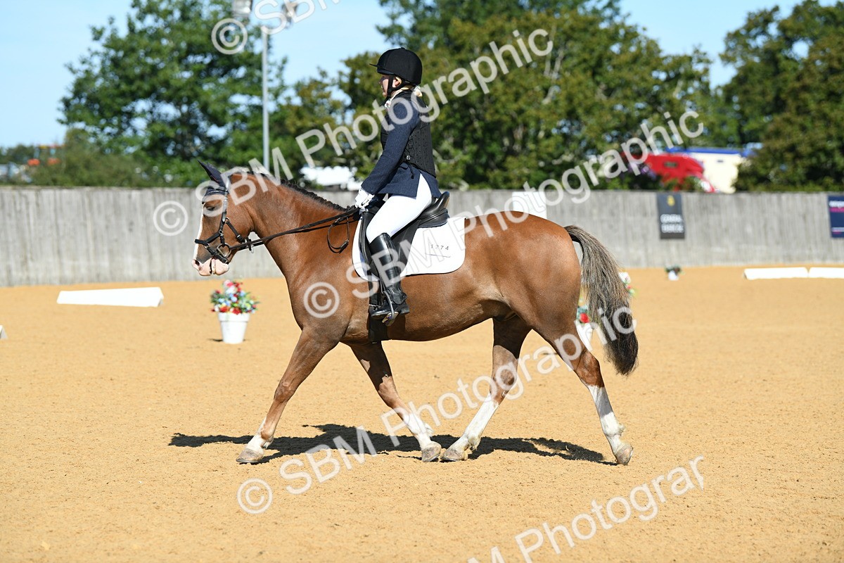SBM_18141 - D4 - Small Tour Championship - Intro B