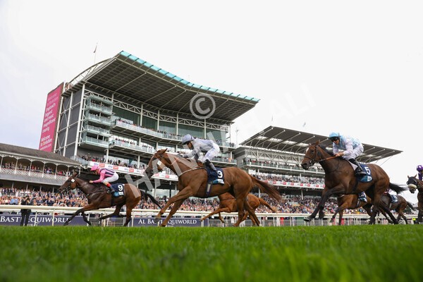 yr19082021r7-11 - Race 7 5.20pm British Stallion Studs EBF Fillies' Stakes