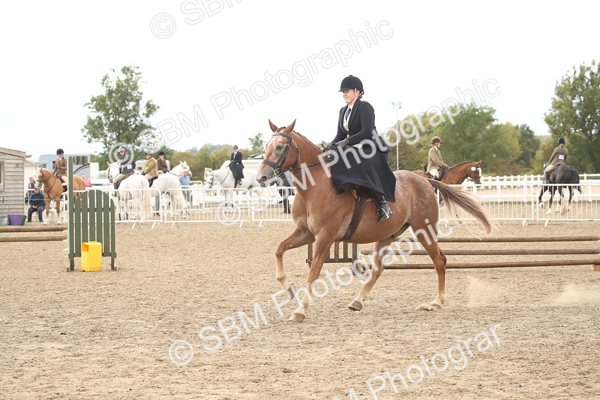 SBM_17662 - Class 508a - Working Veteran 70cm (15-19)