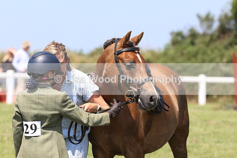 JPP_2798 - Class 21: Working Hunter 60cm