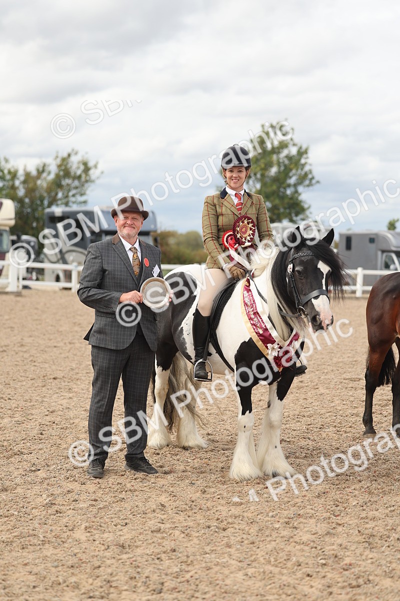 SBM_18065 - Class 314 - Family Horse Pony