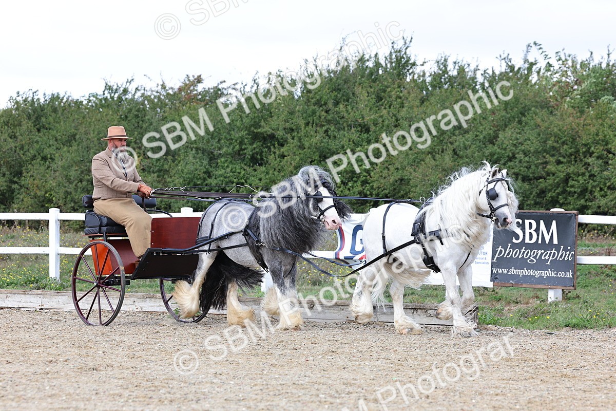 SBM_001144 - Class 16 - Pairs ,Multiples and Tandems