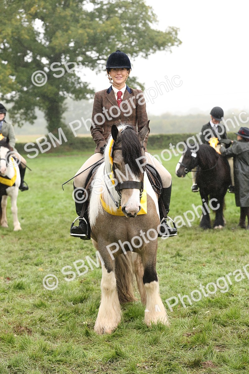 SBM_72851 - S70 - Traditional Cob Ridden