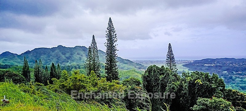 PSX_20230225_101536 - Landscapes