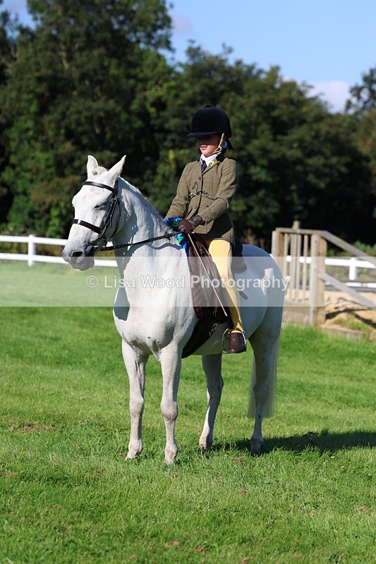3E7A7720 - Class 1: Novice Working Hunter Pony