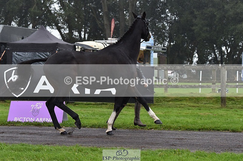 231018-120114-00038 - 004-CARTOON.HERO-Sophie.Wildern-TrotUp