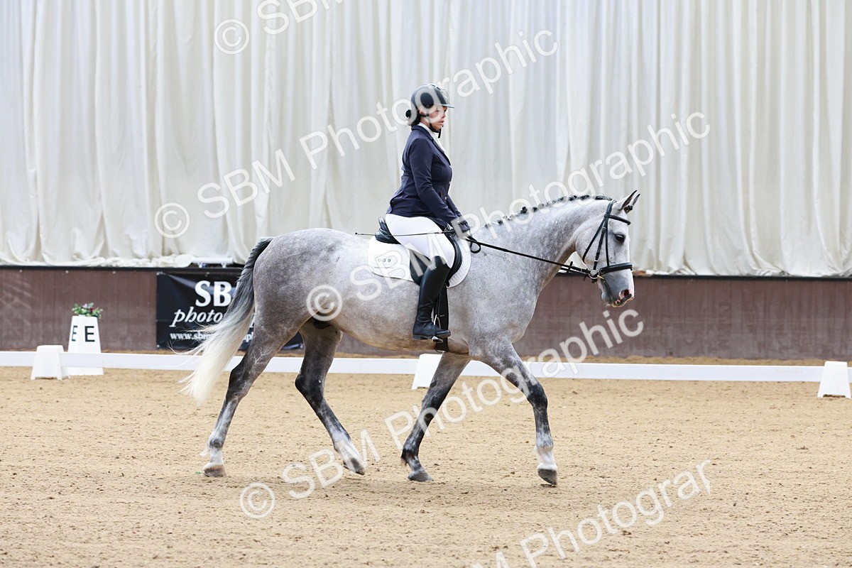 SBM_003164 - Intro 2