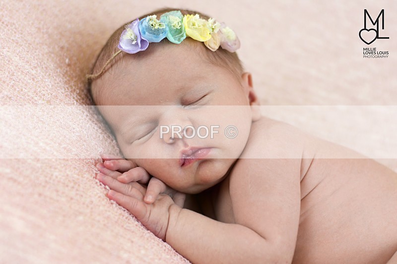 Estella Photoshoot 25th August 2016 Millie Loves Louis Photography  37 - Newborn Photoshoots