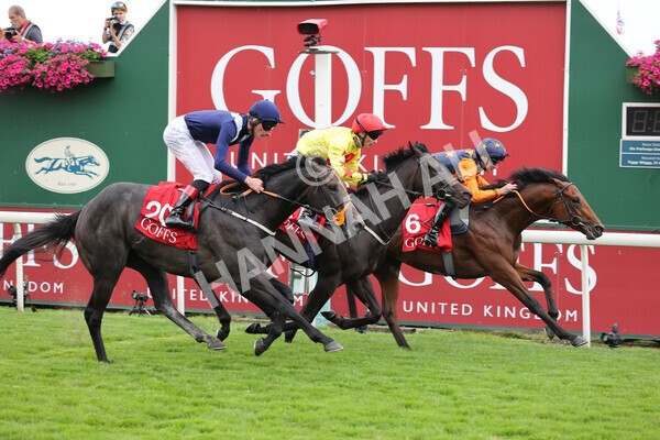 yr19082021r2-27 - Race 2 2.25pm Goffs UK Premier Yearling Stakes