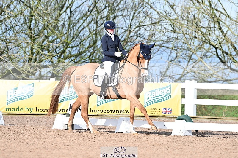 240218A-114411-06824 - 272-Beth.Bainbridge-Newton.Dreamcatcher