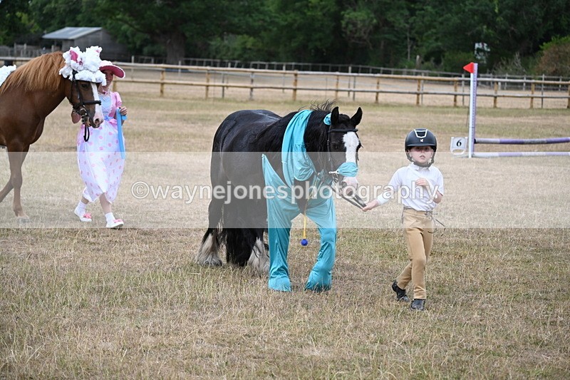 WJ6_8695 - Class 11 Fancy Dress