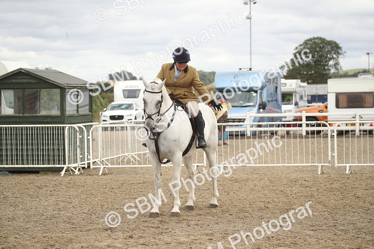 SBM_17704 - Class 508a - Working Veteran 70cm (15-19)