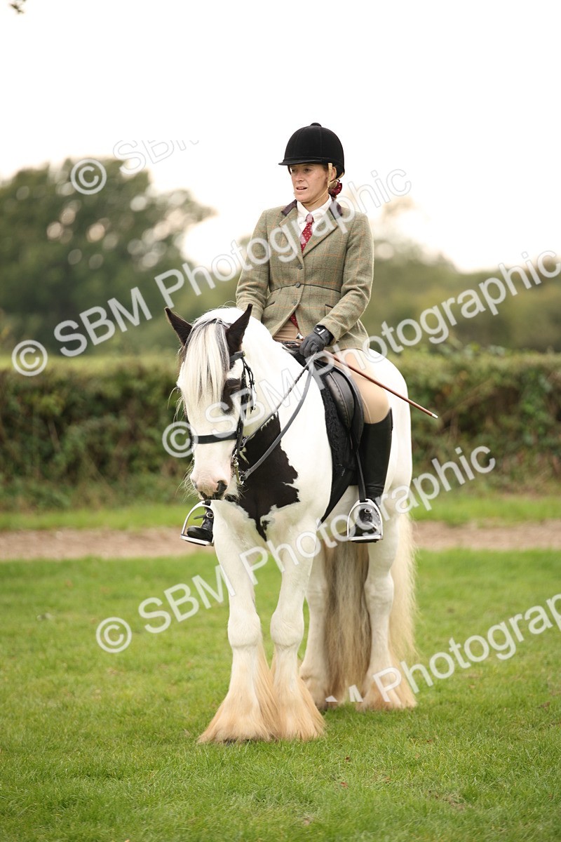 SBM_73567 - S68 - Traditional Cob Ridden