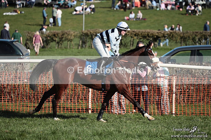 PtP 210326 627 - VWH Cirencester Races 21/03/26