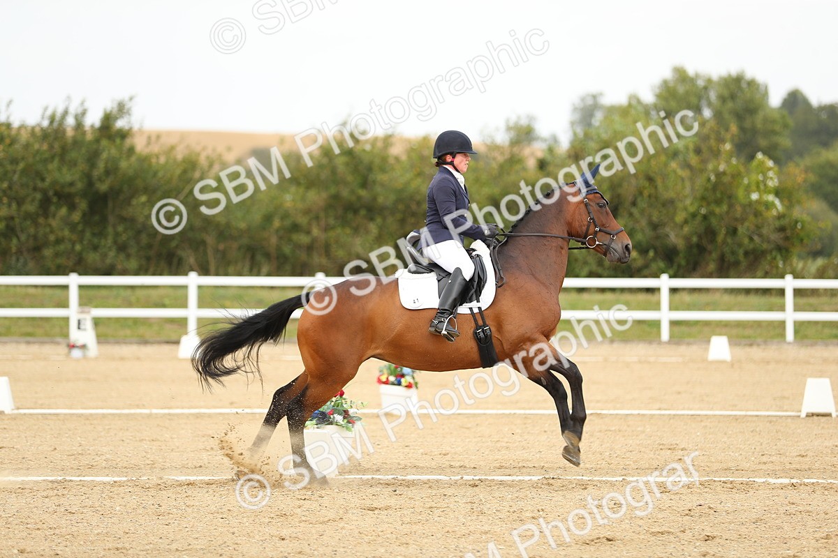 SBM_017341 - Class 13 - Novice 23 - 13.31-14.13