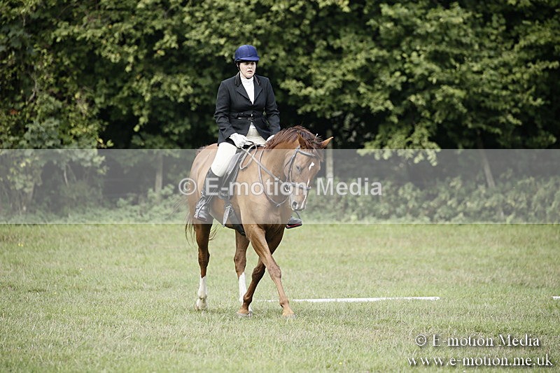 BVR090918 139 - BVRC Dressage and Show Jumping 09/09/18
