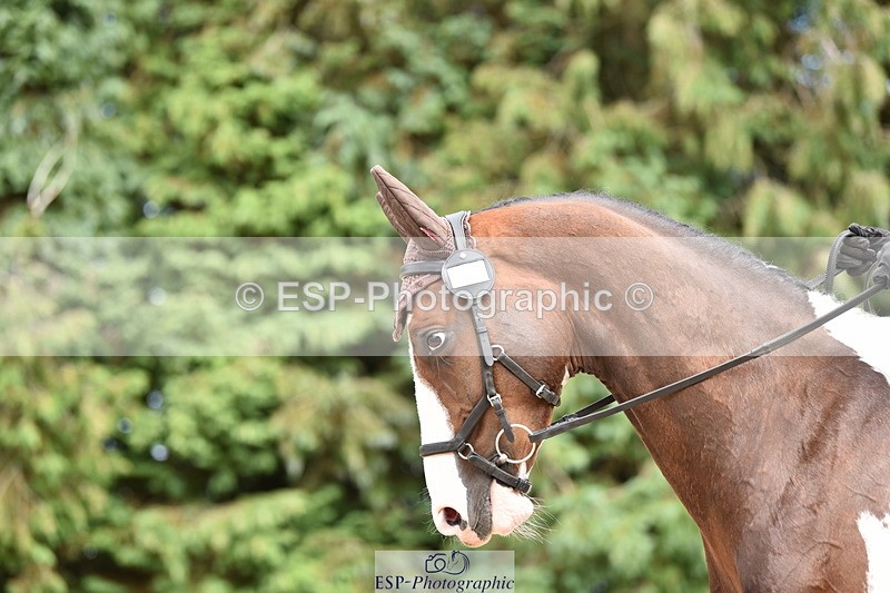 140110A-030702-11169 - 070-Deborah.Randall-Kindred.Spirit