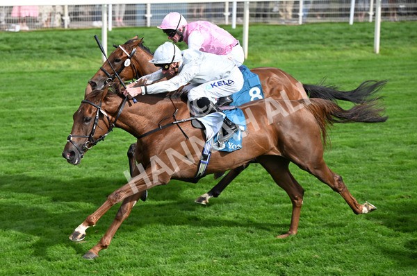 210825-185 Charlottes Web - Race 5 4.10pm British EBF & Sir Henry Cecil Galtres Stakes