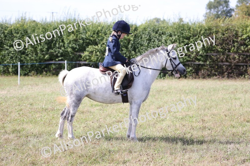 20260906-3026 - Class 18 - Childs First Pony