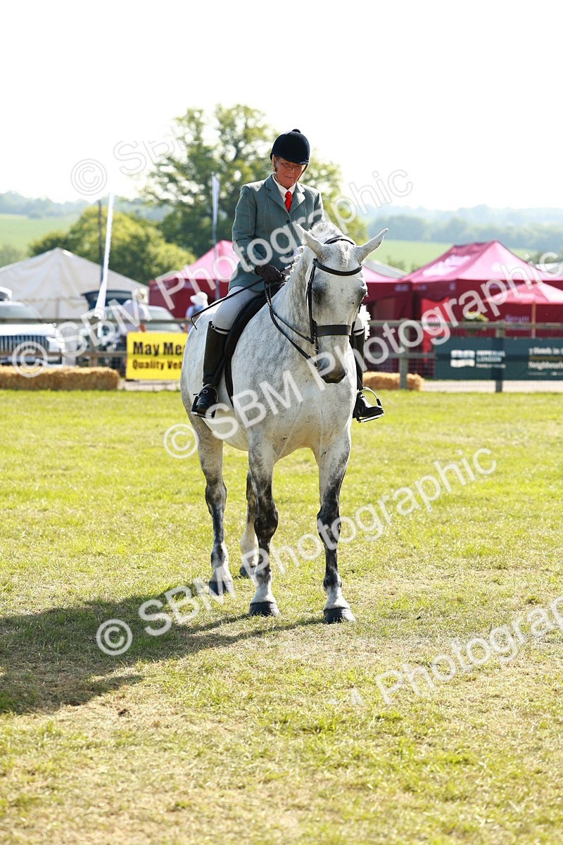 SBM_11847 - Class 66-69 - RIHS Ridden Hunters Inc Small Hunter