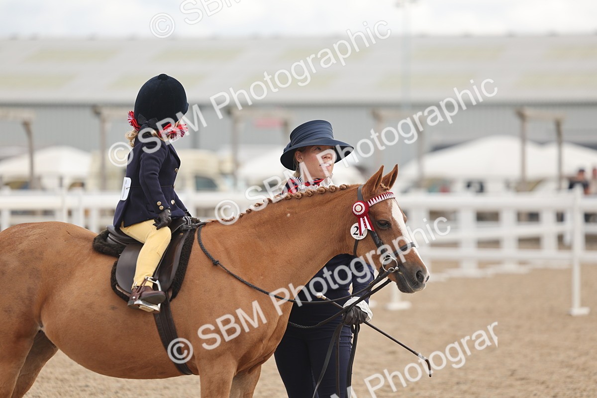 SBM_15784 - Class 309 - Lead Rein Pony
