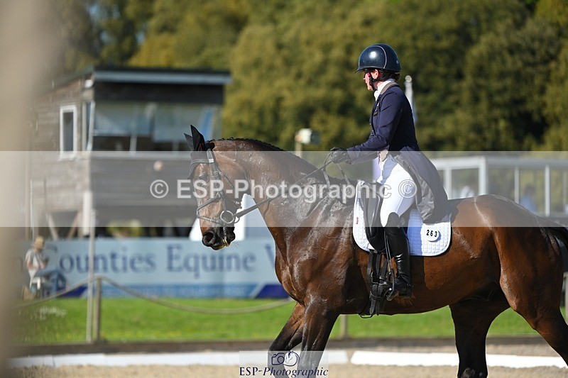 230526-172731-07612 - 263-CARWARTHEN_HARRIER-Polly_Muirhead-WEDTrotUp+DR