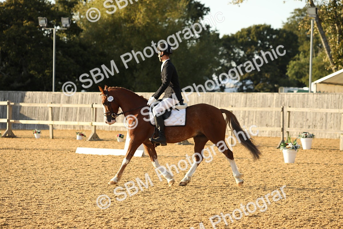 SBM_55228 - D25 - Junior Championships - Novice 24-Elementary 42