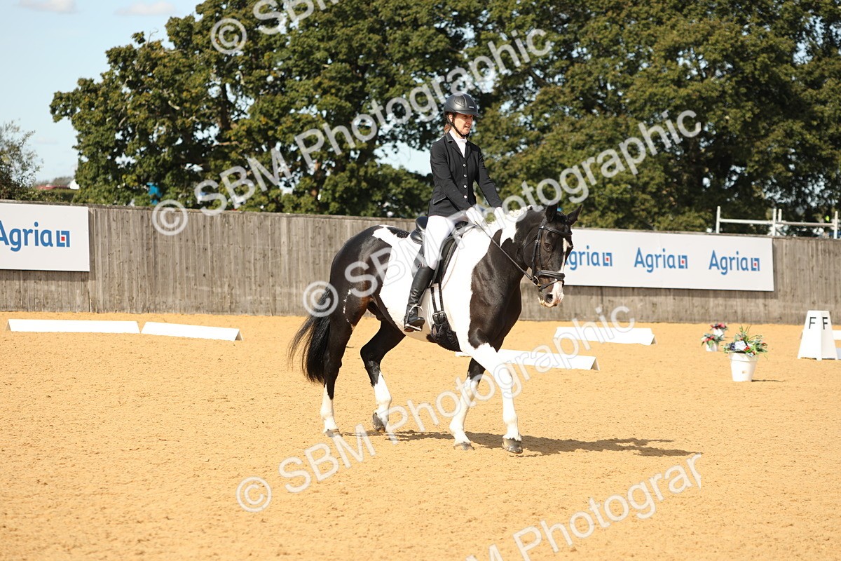 SBM_22159 - D17 - Grand Tour Championship - Novice 27